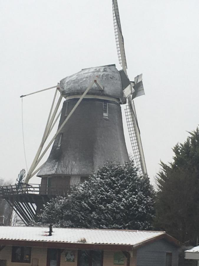 Gardenhouse Mariposa Villa Badhoevedorp Bagian luar foto